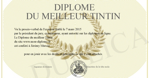 Il n’y a pas que les diplômes dans la vie … professionnelle